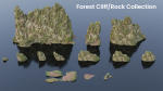 Forest Cliffs Moss