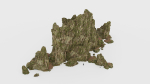 Forest Cliffs Moss
