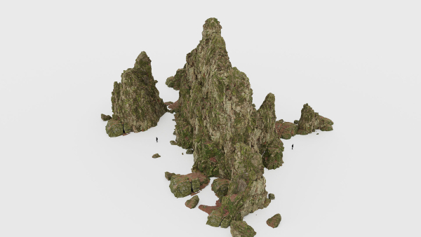 Forest Cliffs Moss