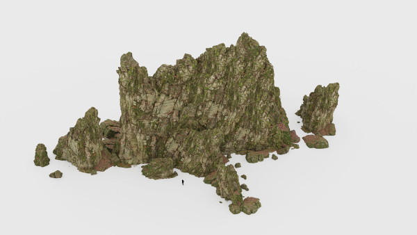 Forest Cliffs Moss