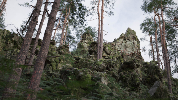 Forest Cliffs Moss