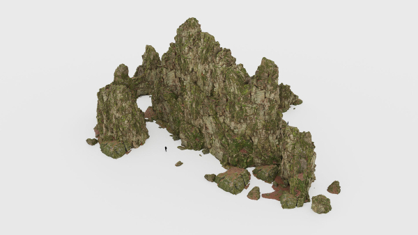 Forest Cliffs Moss