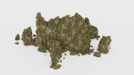 Forest Cliffs Moss