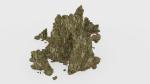 Forest Cliffs Moss