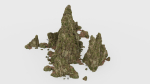 Forest Cliffs Moss