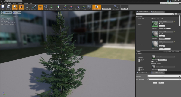 Forest Conifer Spruce Tree
