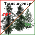 Forest Conifer Spruce Tree