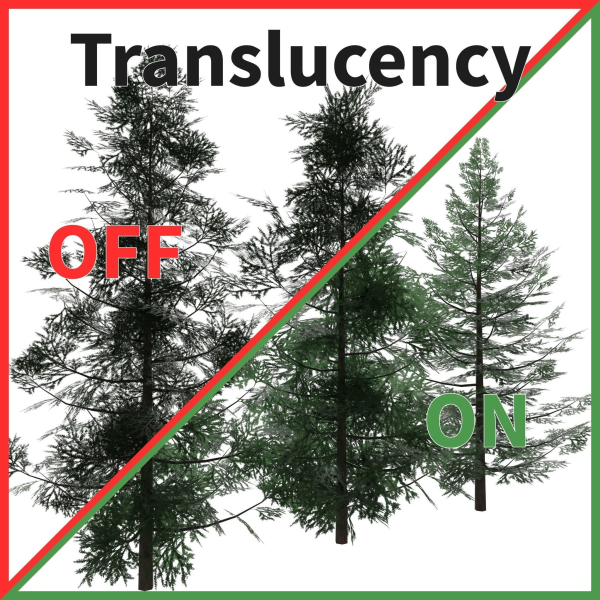 Forest Conifer Spruce Tree