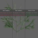 Forest Conifer Spruce Tree