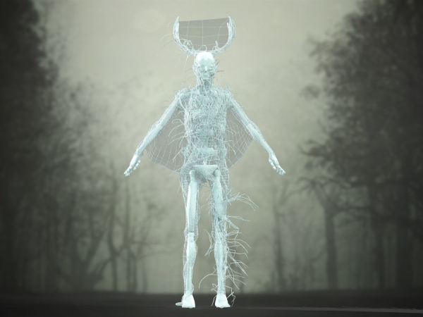 Forest Ghost