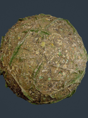 Forest Ground Seamless PBR Texture 02