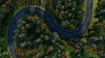 Forest Highway Scene 3d Model and Realistic Grass Pack in Scene