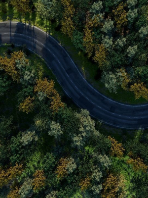 Forest Highway Scene 3d Model and Realistic Grass Pack in Scene