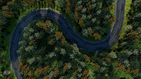 Forest Highway Scene 3d Model and Realistic Grass Pack in Scene