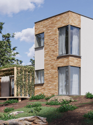 Forest House