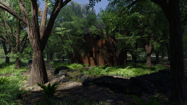 Forest House Scene