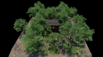 Forest House Scene