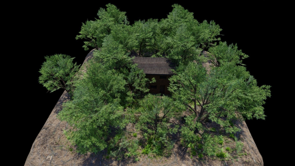 Forest House Scene