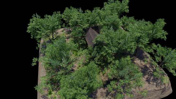 Forest House Scene