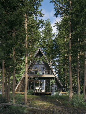 Forest House - Vray for Sketchup