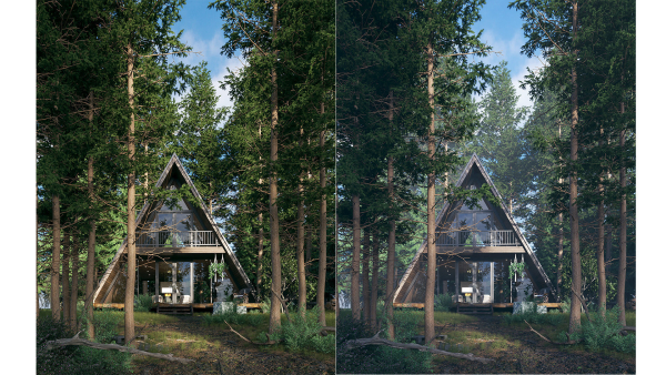 Forest House - Vray for Sketchup