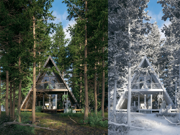 Forest House - Vray for Sketchup