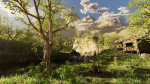 Forest Hut Scene