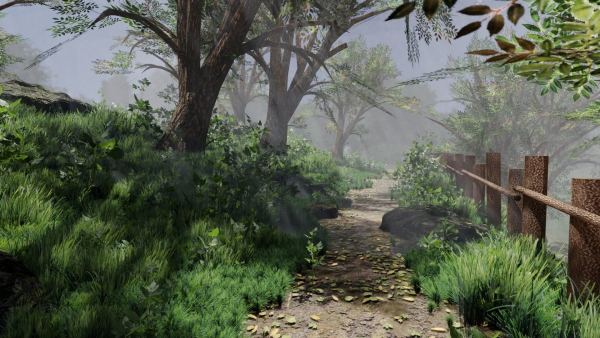 Forest path Scene