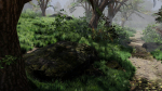 Forest path Scene