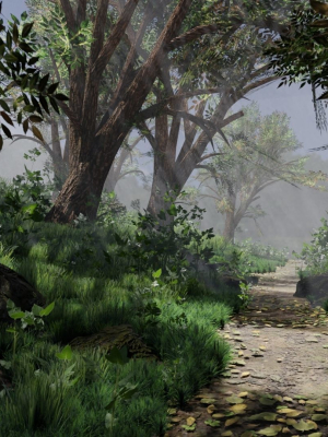 Forest path Scene