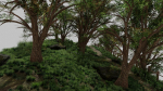 Forest path Scene