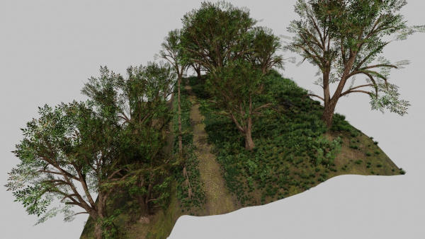 Forest path Scene