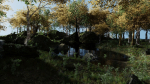Forest Scene 2