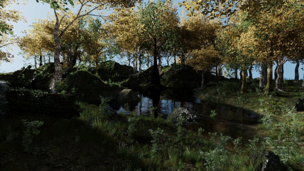 Forest Scene 2