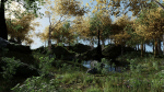 Forest Scene 2