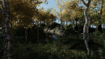 Forest Scene 2