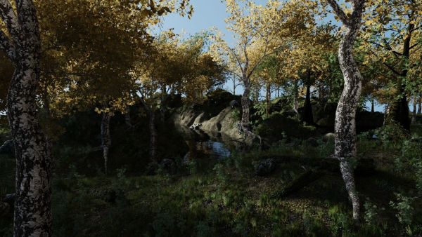 Forest Scene 2