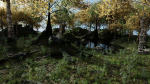 Forest Scene 2