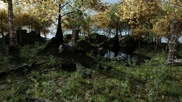Forest Scene 2
