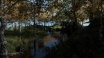 Forest Scene 2