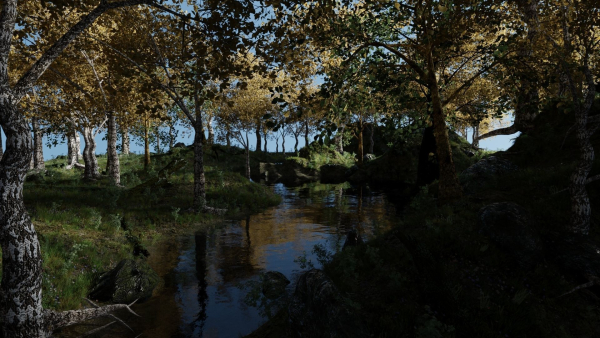 Forest Scene 2