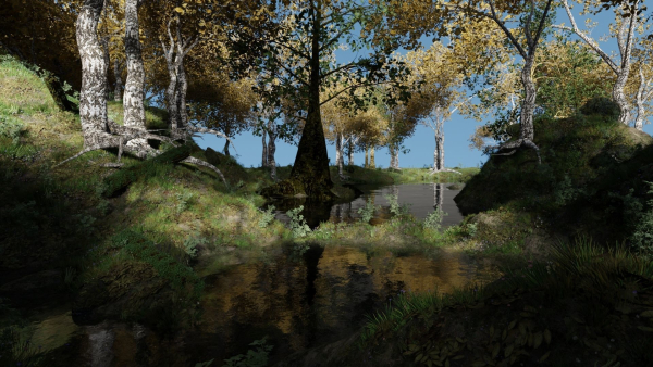 Forest Scene 2