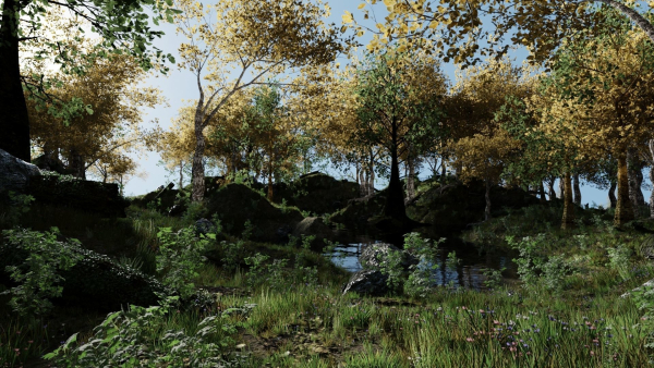 Forest Scene 2
