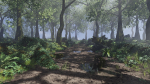 Forest Scene