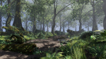 Forest Scene