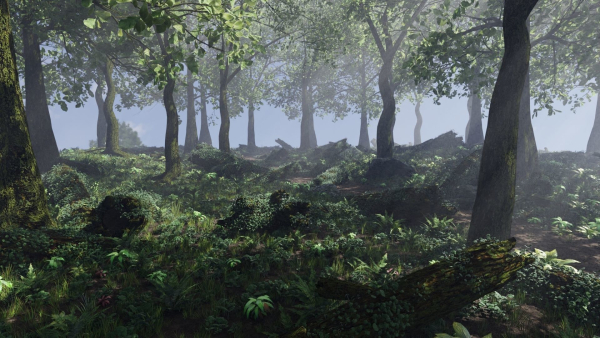 Forest Scene