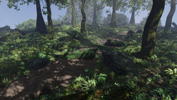 Forest Scene