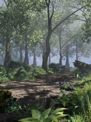 Forest Scene