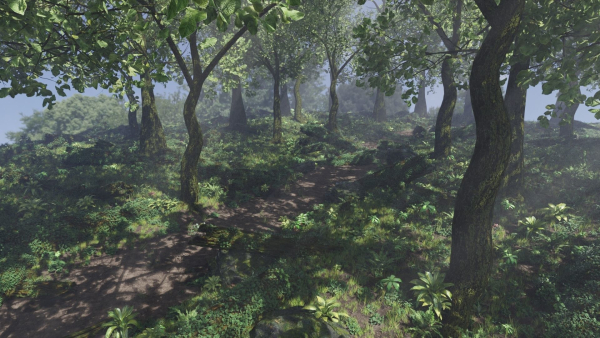 Forest Scene