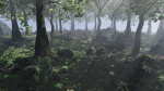 Forest Scene